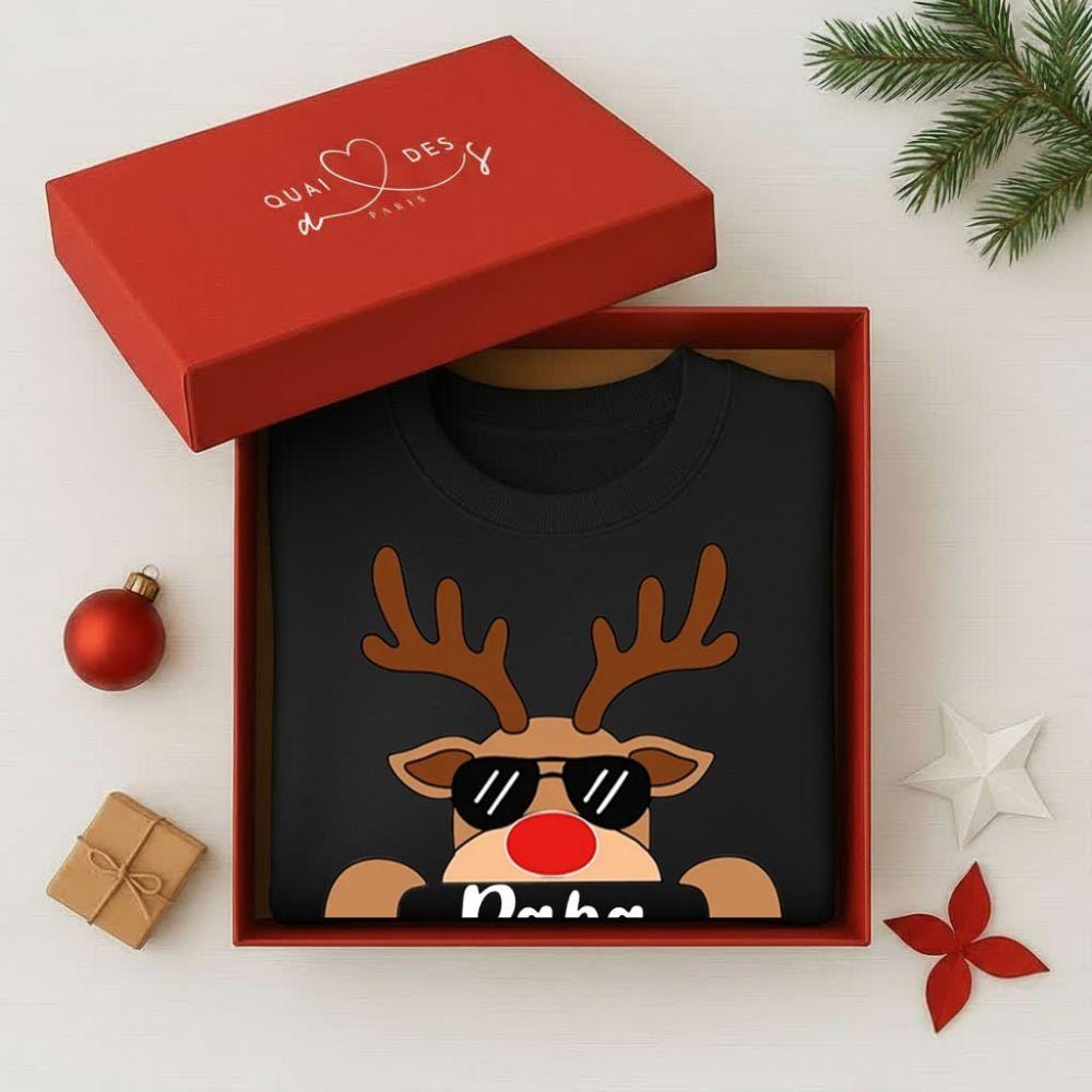 Pull De Noel Famille Moche