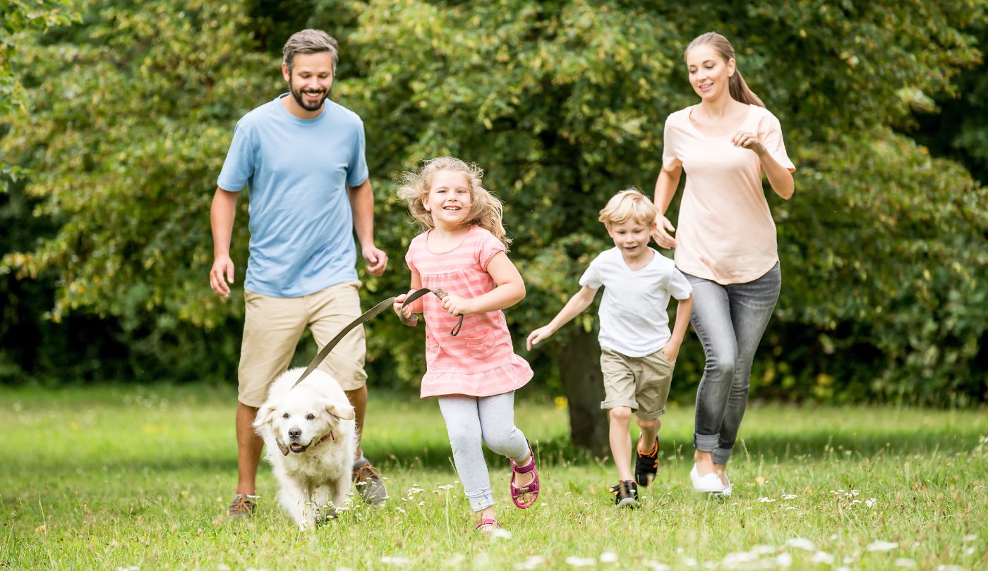 Activité Pour Famille