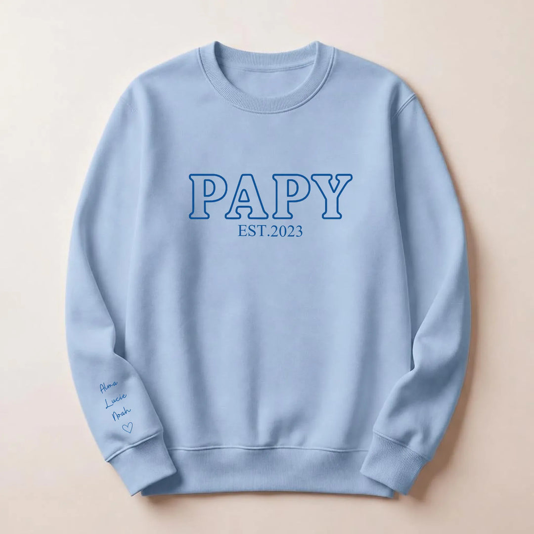 T shirt personnalise futur grand père Sweatshirt / Bleu Clair / S