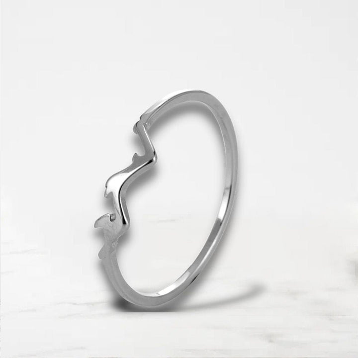 Bague Couple En Commun Argent / Fine / 54