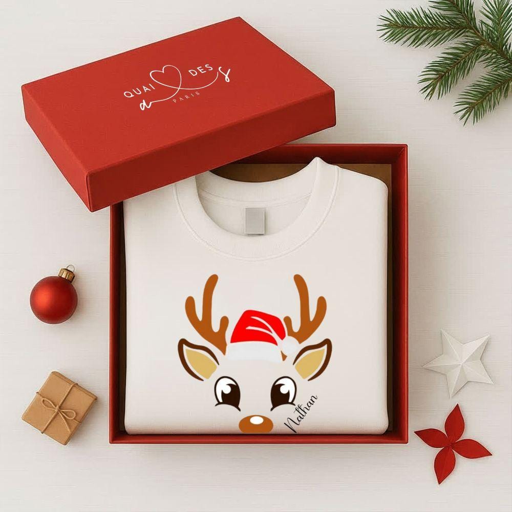 Pull de Noel bébé et parents