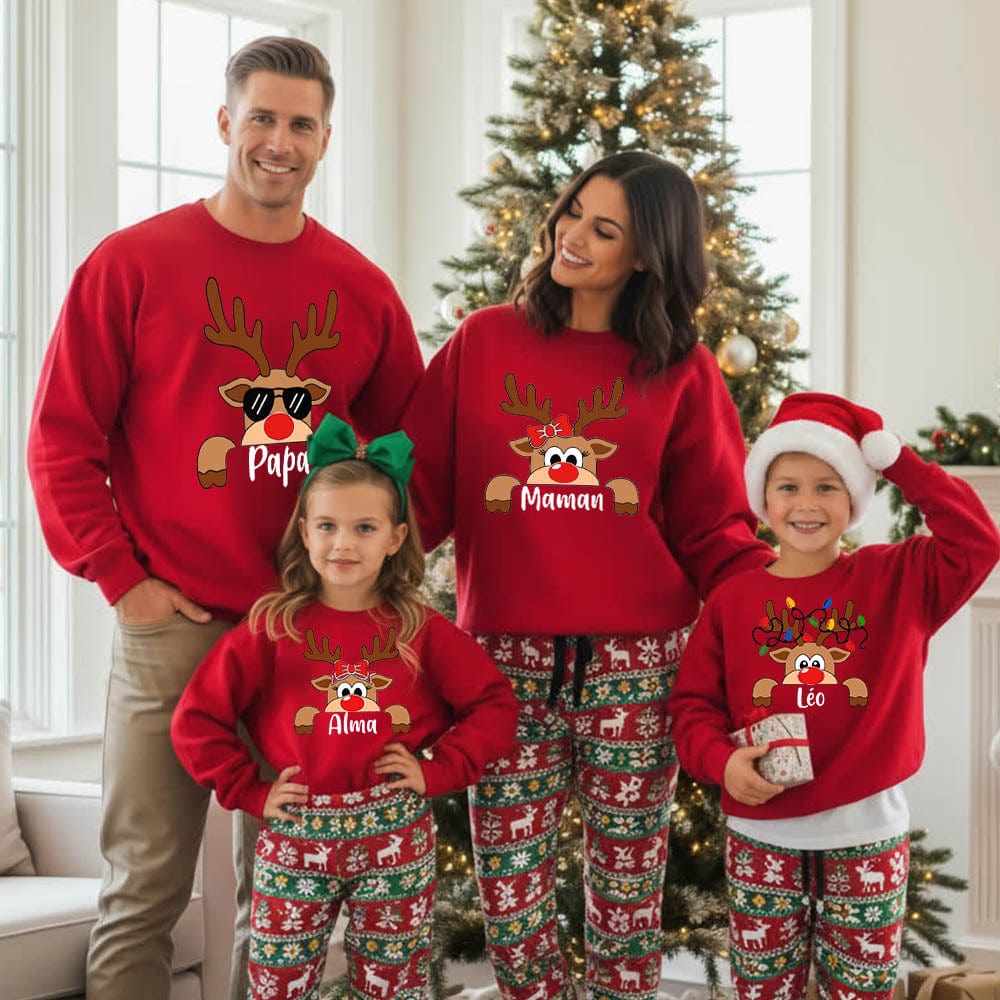 Pull De Noel Famille Moche
