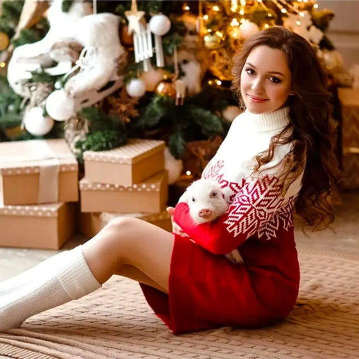 Pull de Noel Pour Toute La Famille