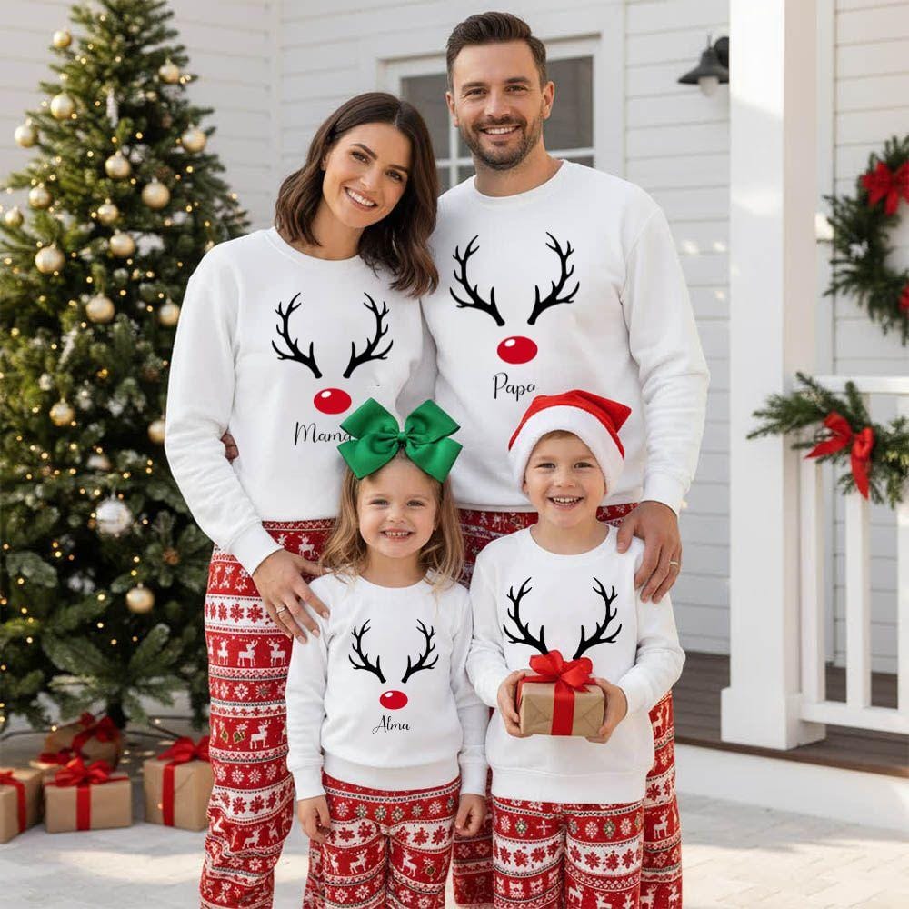 Pull Noel Renne Famille