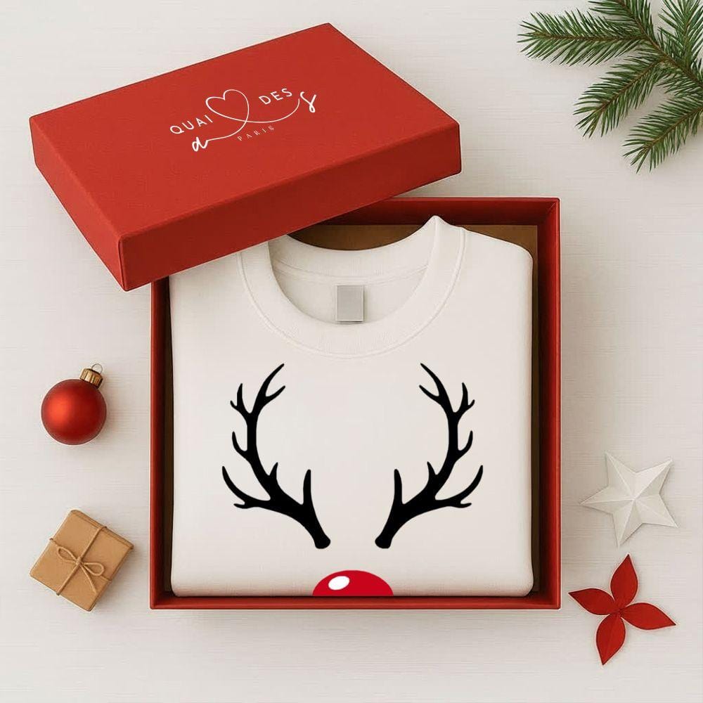 Pull Noel Renne Famille